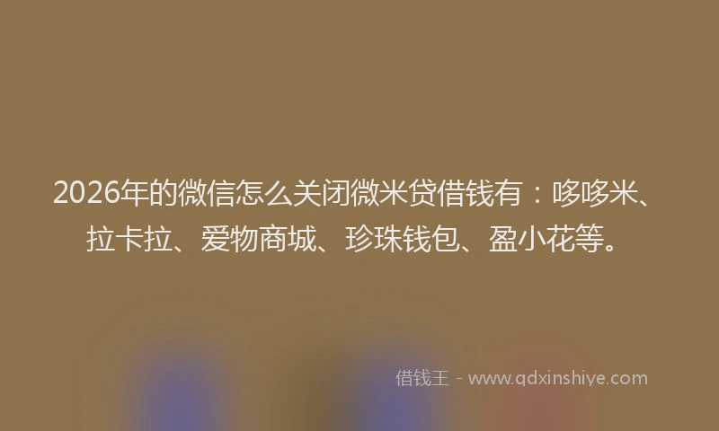 2026年的微信怎么关闭微米贷借钱有：哆哆米、拉卡拉、爱物商城、珍珠钱包、盈小花等。