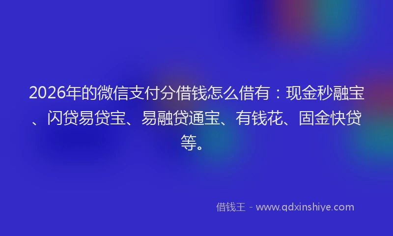 2026年的微信支付分借钱怎么借有：现金秒融宝、闪贷易贷宝、易融贷通宝、有钱花、固金快贷等。