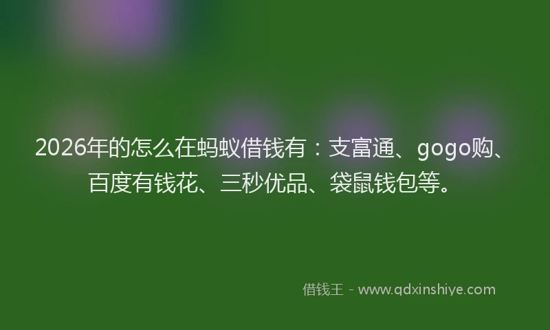 2026年的怎么在蚂蚁借钱有：支富通、gogo购、百度有钱花、三秒优品、袋鼠钱包等。