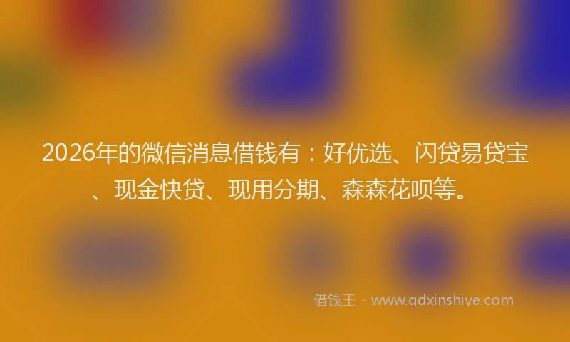 2026年的微信消息借钱有：好优选、闪贷易贷宝、现金快贷、现用分期、森森花呗等。