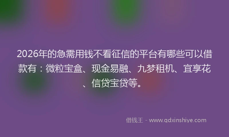 2026年的急需用钱不看征信的平台有哪些可以借款有：微粒宝盒、现金易融、九梦租机、宜享花、信贷宝贷等。