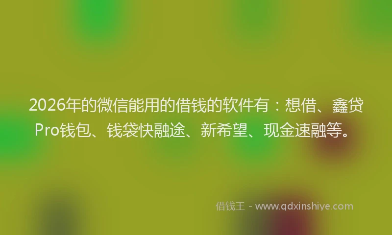 2026年的微信能用的借钱的软件有：想借、鑫贷Pro钱包、钱袋快融途、新希望、现金速融等。