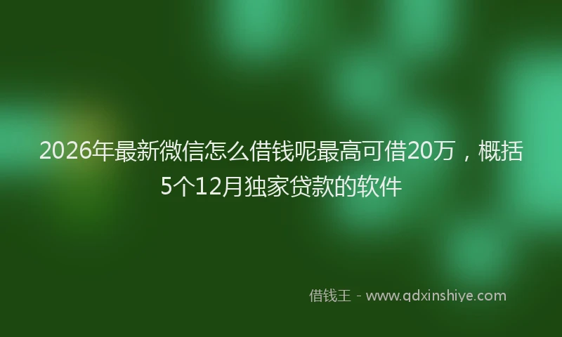 2026年最新微信怎么借钱呢最高可借20万，概括5个12月独家贷款的软件