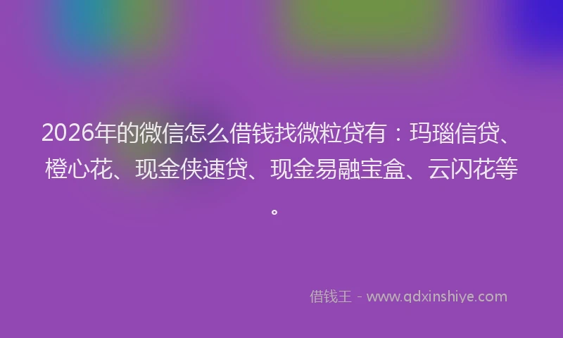 2026年的微信怎么借钱找微粒贷有：玛瑙信贷、橙心花、现金侠速贷、现金易融宝盒、云闪花等。