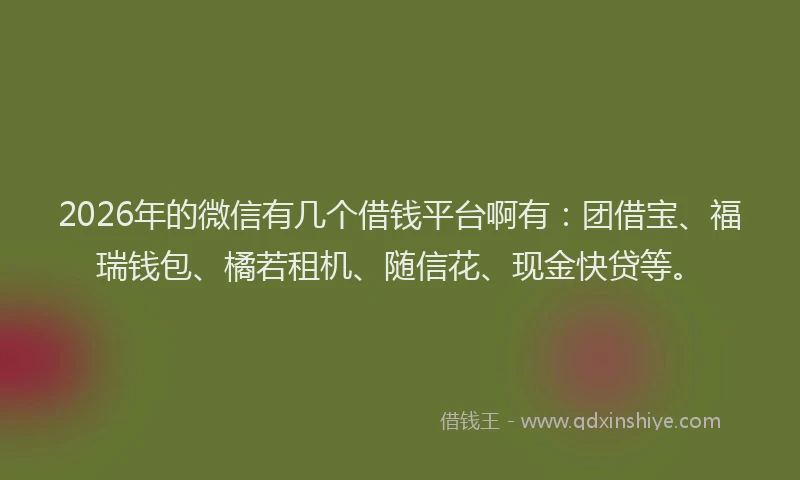 2026年的微信有几个借钱平台啊有：团借宝、福瑞钱包、橘若租机、随信花、现金快贷等。