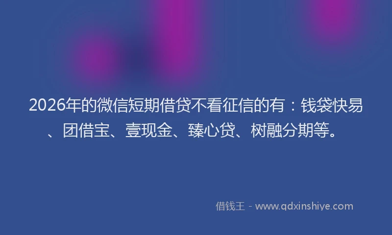 2026年的微信短期借贷不看征信的有：钱袋快易、团借宝、壹现金、臻心贷、树融分期等。