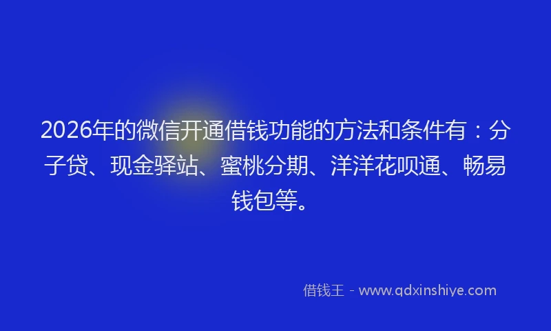 2026年的微信开通借钱功能的方法和条件有：分子贷、现金驿站、蜜桃分期、洋洋花呗通、畅易钱包等。