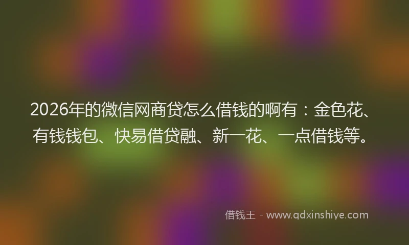 2026年的微信网商贷怎么借钱的啊有：金色花、有钱钱包、快易借贷融、新一花、一点借钱等。