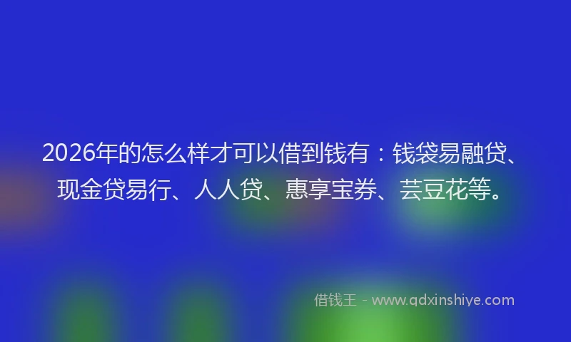 2026年的怎么样才可以借到钱有：钱袋易融贷、现金贷易行、人人贷、惠享宝券、芸豆花等。