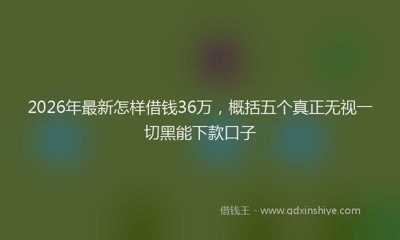 2026年最新怎样借钱36万，概括五个真正无视一切黑能下款口子