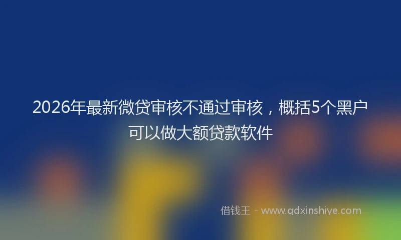 2026年最新微贷审核不通过审核，概括5个黑户可以做大额贷款软件
