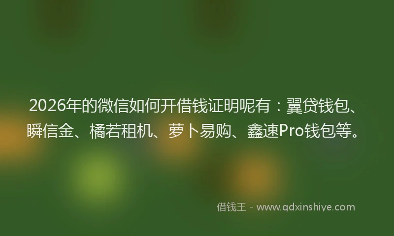2026年的微信如何开借钱证明呢有：翼贷钱包、瞬信金、橘若租机、萝卜易购、鑫速Pro钱包等。