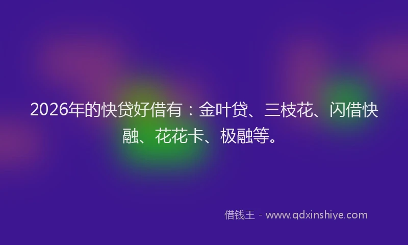 2026年的快贷好借有：金叶贷、三枝花、闪借快融、花花卡、极融等。