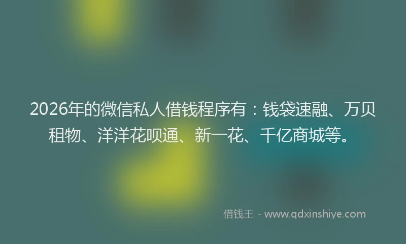 2026年的微信私人借钱程序有：钱袋速融、万贝租物、洋洋花呗通、新一花、千亿商城等。