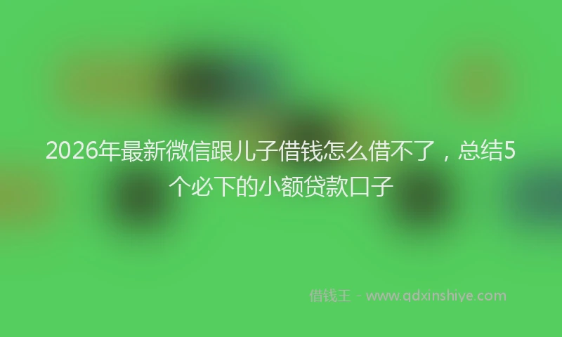 2026年最新微信跟儿子借钱怎么借不了，总结5个必下的小额贷款口子