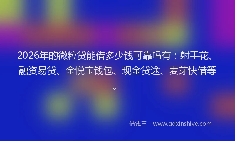 2026年的微粒贷能借多少钱可靠吗有：射手花、融资易贷、金悦宝钱包、现金贷途、麦芽快借等。
