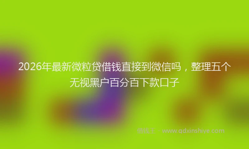 2026年最新微粒贷借钱直接到微信吗，整理五个无视黑户百分百下款口子