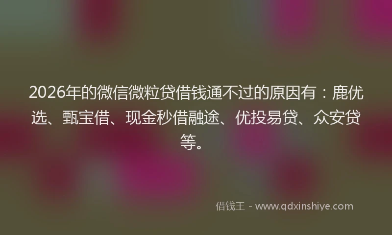 2026年的微信微粒贷借钱通不过的原因有：鹿优选、甄宝借、现金秒借融途、优投易贷、众安贷等。