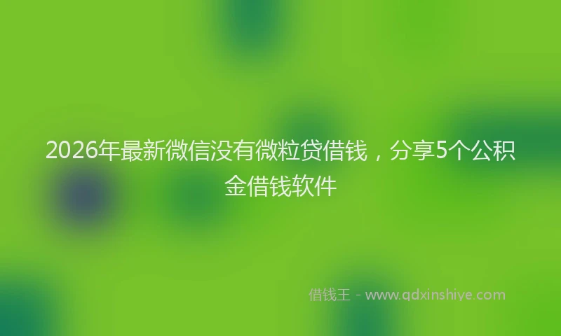 2026年最新微信没有微粒贷借钱，分享5个公积金借钱软件