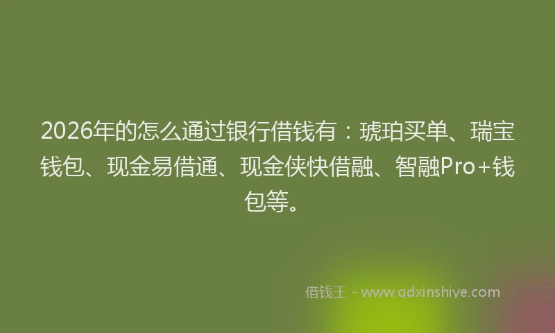 2026年的怎么通过银行借钱有：琥珀买单、瑞宝钱包、现金易借通、现金侠快借融、智融Pro+钱包等。