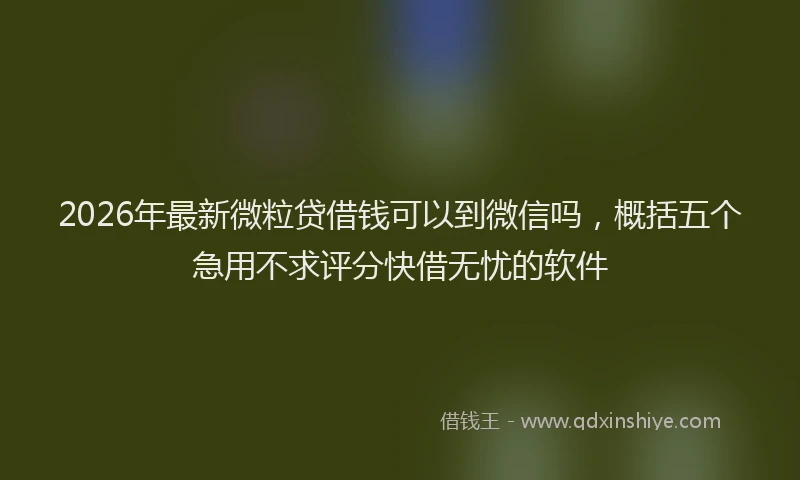 2026年最新微粒贷借钱可以到微信吗，概括五个急用不求评分快借无忧的软件