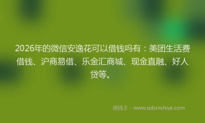 2026年的微信安逸花可以借钱吗有：美团生活费借钱、沪商易借、乐金汇商城、现金直融、好人贷等。