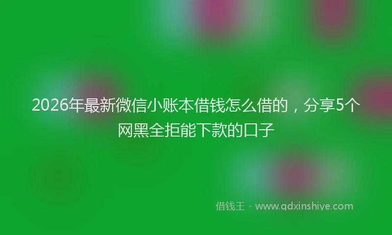 2026年最新微信小账本借钱怎么借的，分享5个网黑全拒能下款的口子