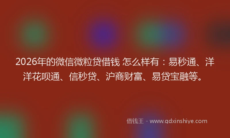 2026年的微信微粒贷借钱 怎么样有：易秒通、洋洋花呗通、信秒贷、沪商财富、易贷宝融等。