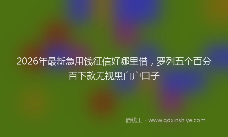 2026年最新急用钱征信好哪里借，罗列五个百分百下款无视黑白户口子