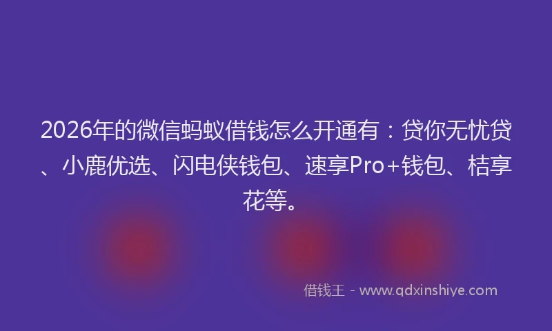 2026年的微信蚂蚁借钱怎么开通有：贷你无忧贷、小鹿优选、闪电侠钱包、速享Pro+钱包、桔享花等。