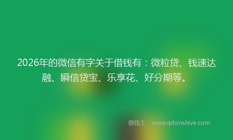 2026年的微信有字关于借钱有：微粒贷、钱速达融、瞬信贷宝、乐享花、好分期等。