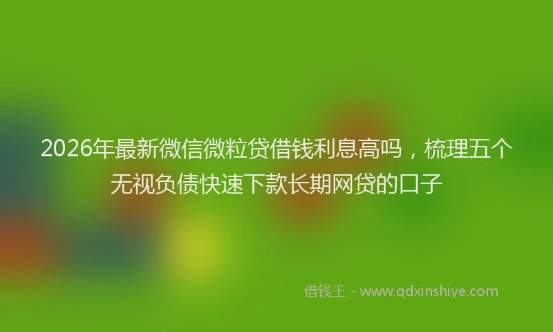 2026年最新微信微粒贷借钱利息高吗，梳理五个无视负债快速下款长期网贷的口子