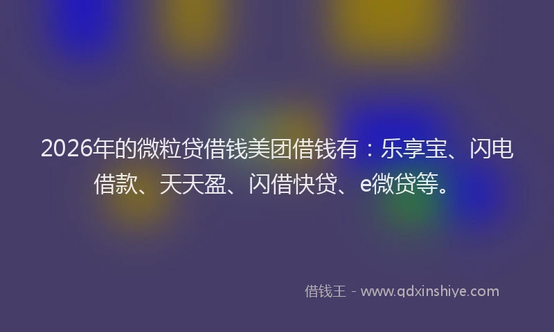 2026年的微粒贷借钱美团借钱有：乐享宝、闪电借款、天天盈、闪借快贷、e微贷等。