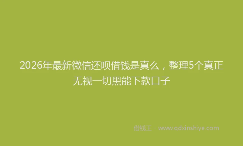 2026年最新微信还呗借钱是真么，整理5个真正无视一切黑能下款口子