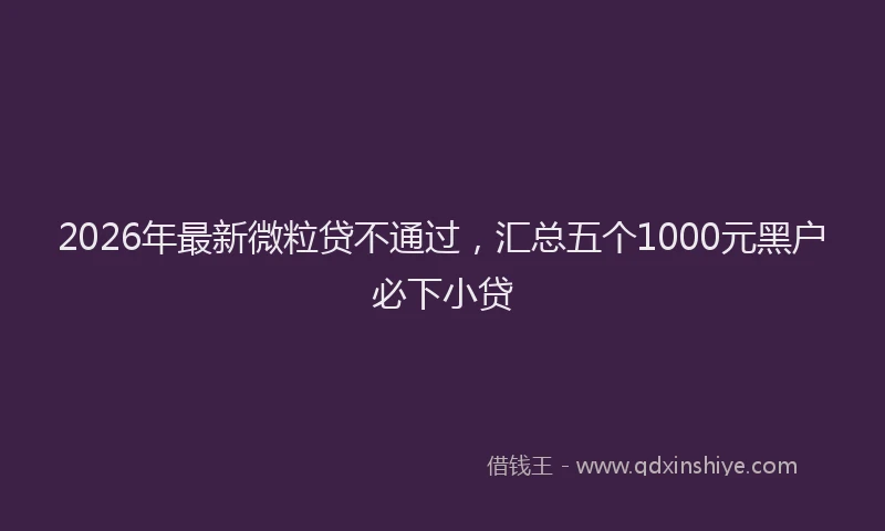 2026年最新微粒贷不通过，汇总五个1000元黑户必下小贷