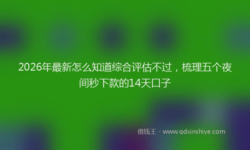 2026年最新怎么知道综合评估不过，梳理五个夜间秒下款的14天口子