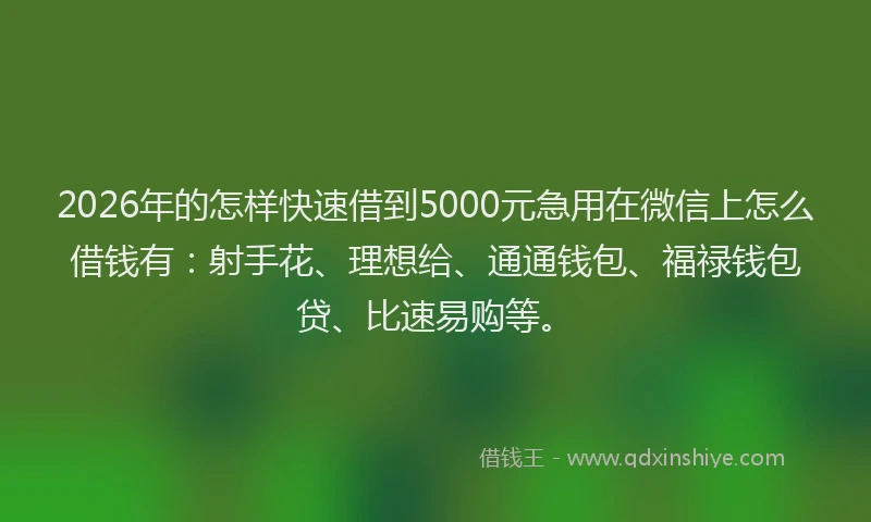 2026年的怎样快速借到5000元急用在微信上怎么借钱有:射手花、理想给、通通钱包、福禄钱包贷、比速易购等。