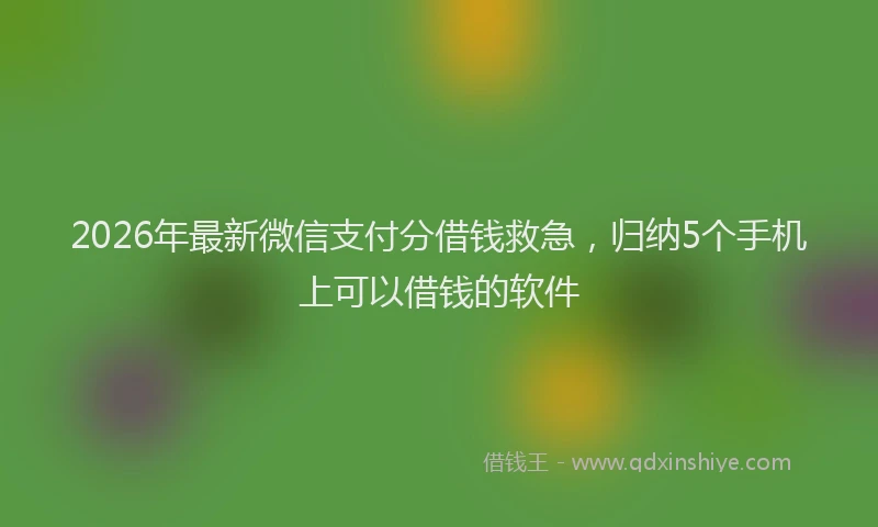 2026年最新微信支付分借钱救急，归纳5个手机上可以借钱的软件