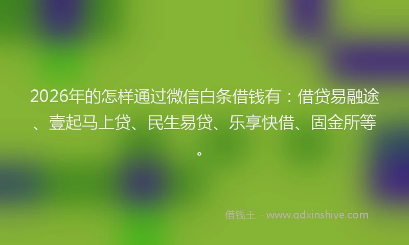 2026年的怎样通过微信白条借钱有：借贷易融途、壹起马上贷、民生易贷、乐享快借、固金所等。