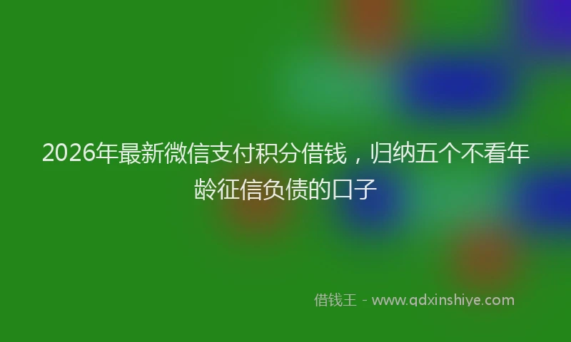 2026年最新微信支付积分借钱，归纳五个不看年龄征信负债的口子