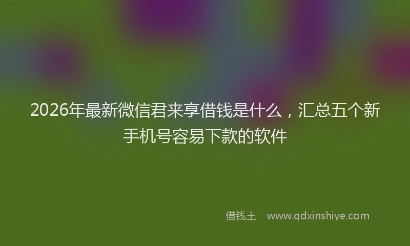 2026年最新微信君来享借钱是什么，汇总五个新手机号容易下款的软件