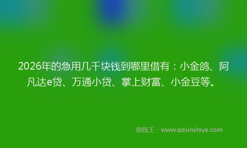 2026年的急用几千块钱到哪里借有:小金鸽、阿凡达e贷、万通小贷、掌上财富、小金豆等。