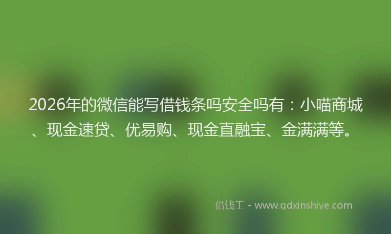 2026年的微信能写借钱条吗安全吗有：小喵商城、现金速贷、优易购、现金直融宝、金满满等。