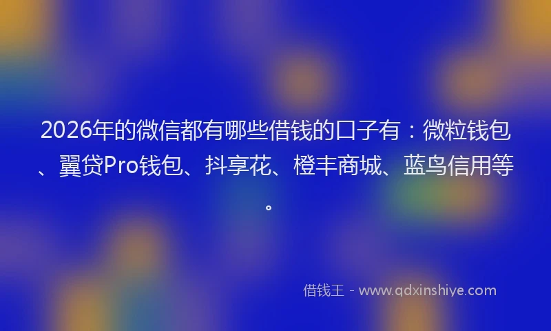 2026年的微信都有哪些借钱的口子有：微粒钱包、翼贷Pro钱包、抖享花、橙丰商城、蓝鸟信用等。