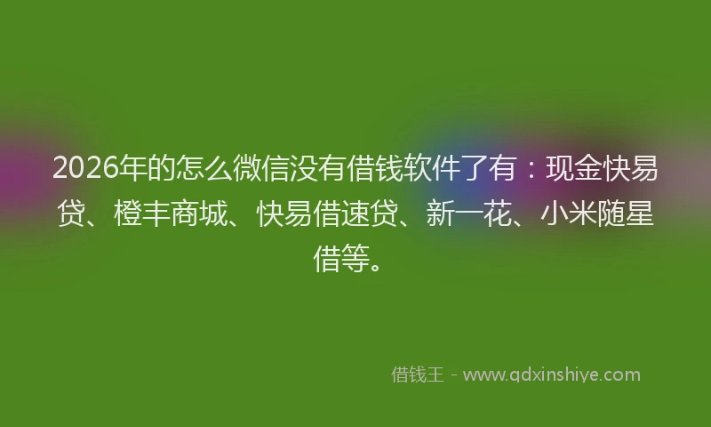 2026年的怎么微信没有借钱软件了有：现金快易贷、橙丰商城、快易借速贷、新一花、小米随星借等。