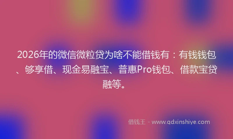 2026年的微信微粒贷为啥不能借钱有：有钱钱包、够享借、现金易融宝、普惠Pro钱包、借款宝贷融等。