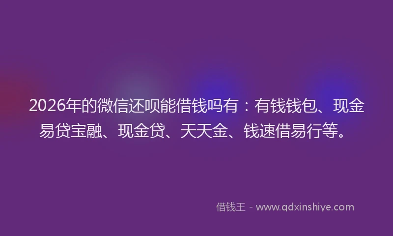 2026年的微信还呗能借钱吗有：有钱钱包、现金易贷宝融、现金贷、天天金、钱速借易行等。