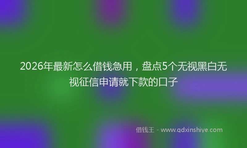 2026年最新怎么借钱急用，盘点5个无视黑白无视征信申请就下款的口子