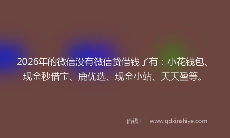 2026年的微信没有微信贷借钱了有：小花钱包、现金秒借宝、鹿优选、现金小站、天天盈等。
