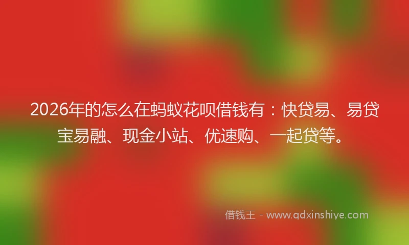 2026年的怎么在蚂蚁花呗借钱有：快贷易、易贷宝易融、现金小站、优速购、一起贷等。